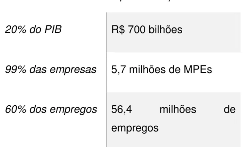 Tabela 2: Dados gerais das MPEs brasileiras  As MPEs no Brasil  –  O que isso representa 