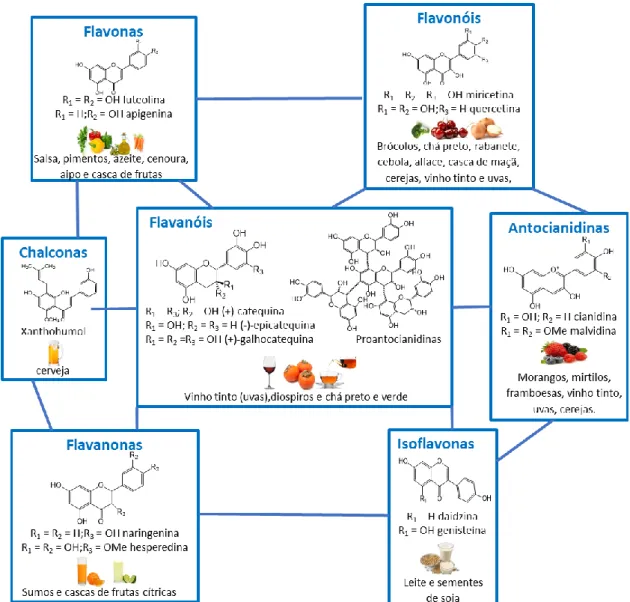 Figura 5 - Estruturas químicas e produtos de consumo contendo as diferentes classes de flavonóides 