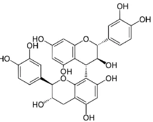Figura 7 – Proantocianidina do tipo B (dímero de catequinas). Pode ser encontrada em cerveja, pêssego e  cebola