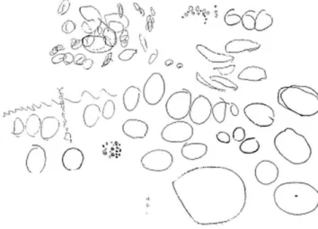 Fig. 18 - Desenhos de crianças (4 anos) - estádio de transição para a estrutura da forma circular