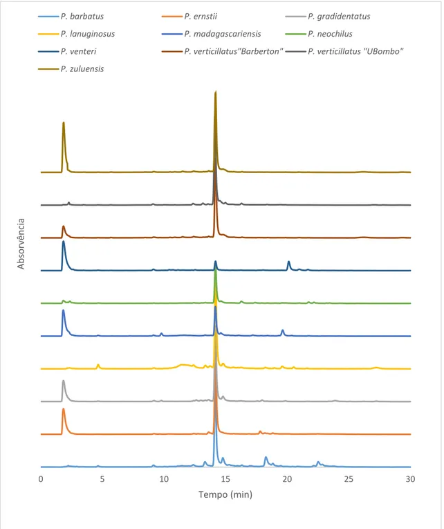 Figura 9. Cromatogramas dos extratos das diferentes espécies de Plectranthus usando a concentração de 1 mg/mL