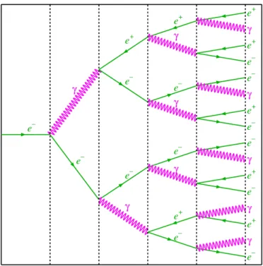 Figure 1.11: Simplified example of the development of an electromagnetic shower initiated by an electron.