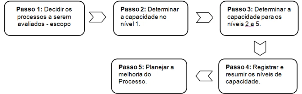 Figura 3: O Modelo de Auto-Avaliação de Processos (CAP-PAM) do COBIT 5