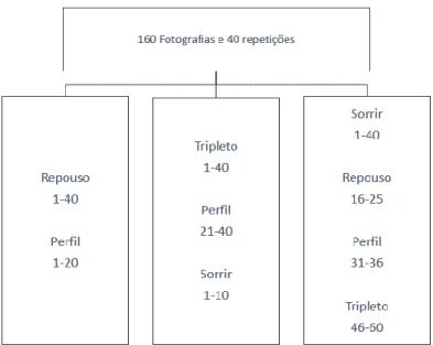 Figura 1.2: Esquema das três sessões de avaliação das fotografias de frente em repouso, de  frente a sorrir, de perfil e do tripleto