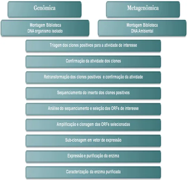 Figura 3 - Etapas básicas utilizadas nas abordagens genômica e metagenômica, mostrando as  suas semelhanças apesar das particularidades das técnicas