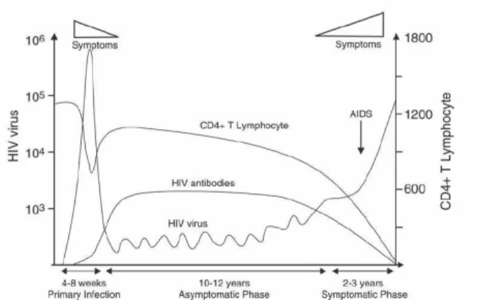 Fig. 1. The natural history of HIV infections dynamics as currently accepted [1], [2], [3], [4].