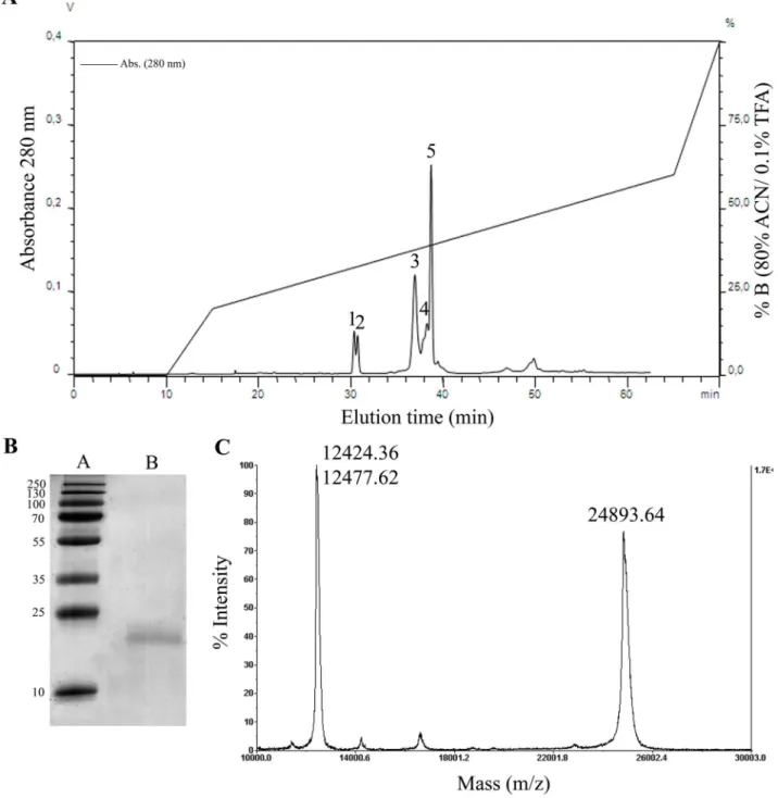 Figure 1. (A) Crovirin purification from Cvv venom using a reverse phase analytical C 8 column, where the protein was eluted as peak 3