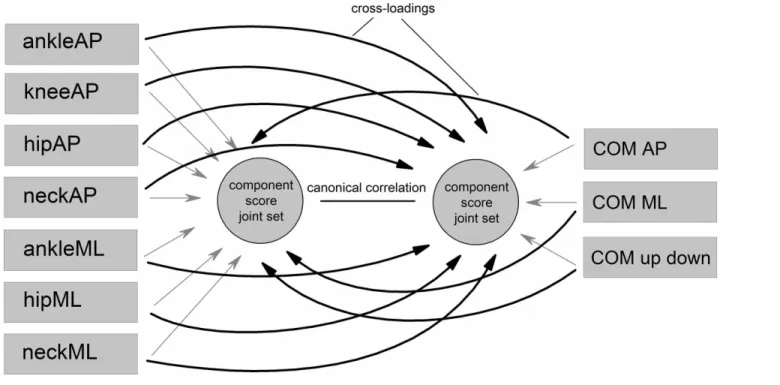 Fig 2. Basic procedures of the canonical correlation analysis (CCA) in conceptual diagram form.