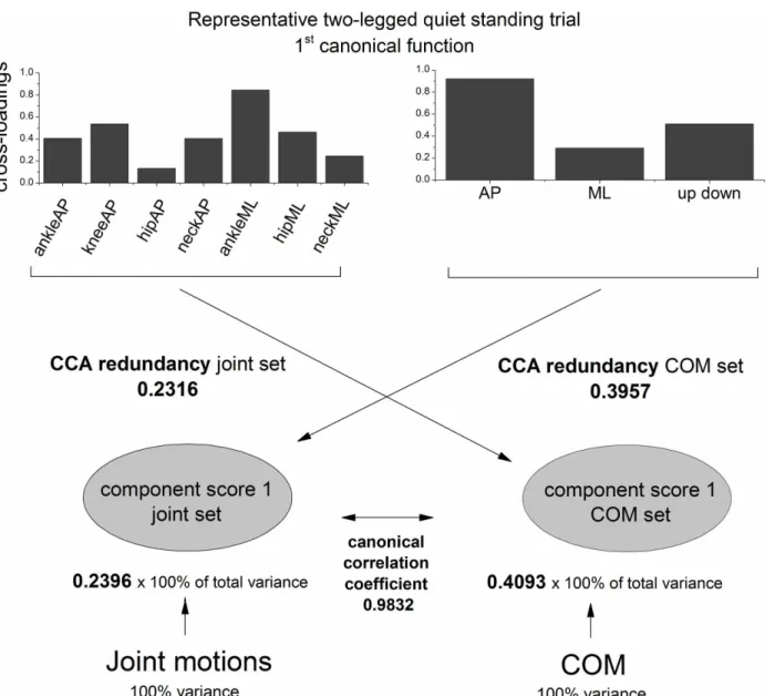Fig 3 highlights that only a proportion of total variance of the data is represented by the component score associated with the first eigenvector of the respective set