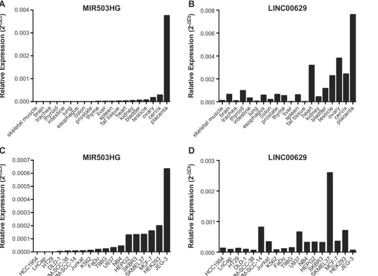 Fig 1. MIR503GH and LINC00629 are highly expressed in placenta and also expressed in other reproductive tissues