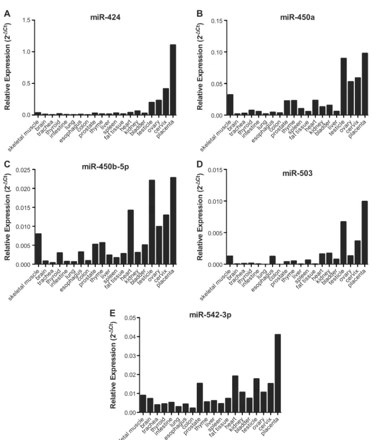Fig 2. miRNAs flanking MIR503HG and LINC00629 genes are in general more expressed in reproductive tissues, a similar expression pattern as the lncRNAs
