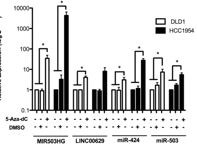 Fig 4. MIR503HG and LINC00269 expression can be regulated by methylation. Expression levels of MIR503HG, LINC00269,and their neighbouring miRNAs—miR-424 and miR-503, were determined in RNA samples from breast and colon adenocarcinoma cell lines treated wit