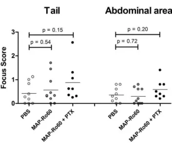 Figure 2. Induction of autoantibodies in SJL/J mice. Plasma from all animals used for saliva collection, were analyzed at the indicated time points for anti-MAP-Ro60 antibodies (A-B) or at the end of the study for anti-La antibodies (N = 4/group) (C)