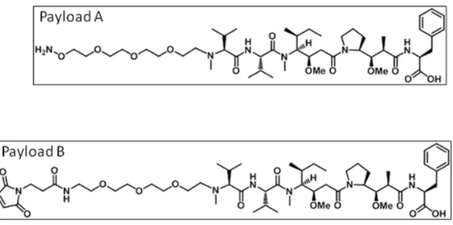 Figure 1. ADC payload chemical structures. The chemical structures of the ADC payloads are shown