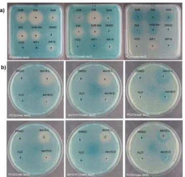 Fig 2. Biological validation of the synthetic solonamides (a) and lactam analogues (b)