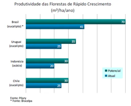Figura 4: Produtividade das Florestas de Rápido Crescimento