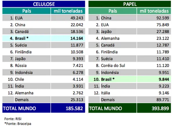 Tabela 5: Setor de Papel e Celulose Brasileiro em Termos Mundiais
