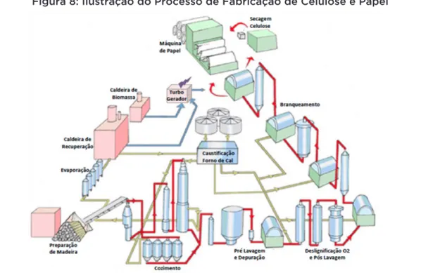 Figura 8: Ilustração do Processo de Fabricação de Celulose e Papel