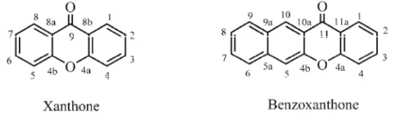 Fig. 1. Chemical structures of xanthone and 12H-benzo[b]xanthen-12-one. 