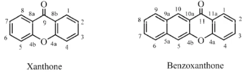 Fig. 1. Chemical structures of xanthone and 12H-benzo[b]xanthen-12-one. 