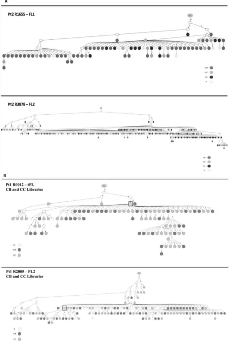 Fig 4. Merged Lineage Trees showing the dynamics of evolution of the sub-clones. (A) Merged lineage trees generated from the 2 biopsies R1655 FL1 and R3878 FL2 from pt2