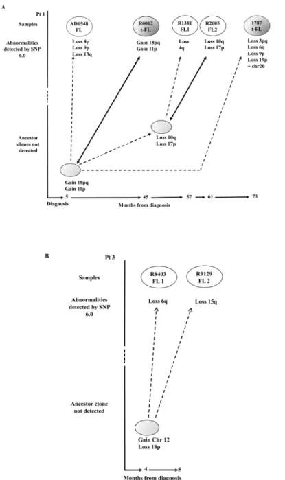 Fig 5. Models of clonal evolution developed by the CNV analysis. FL and t-FL samples are represented in white and dark grey ovals respectively