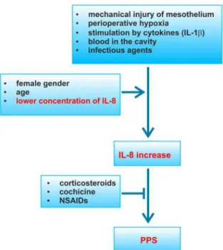Figure 3. Possible pathogenesis of PPS.