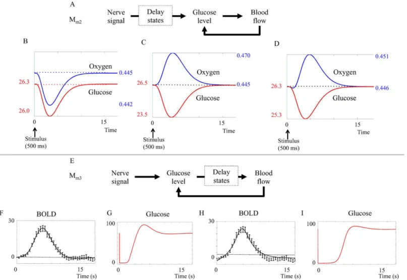 Fig 5. Results from the metabolic feedback model. A. Placement of the delay states (dashed squares) in model M m 2 