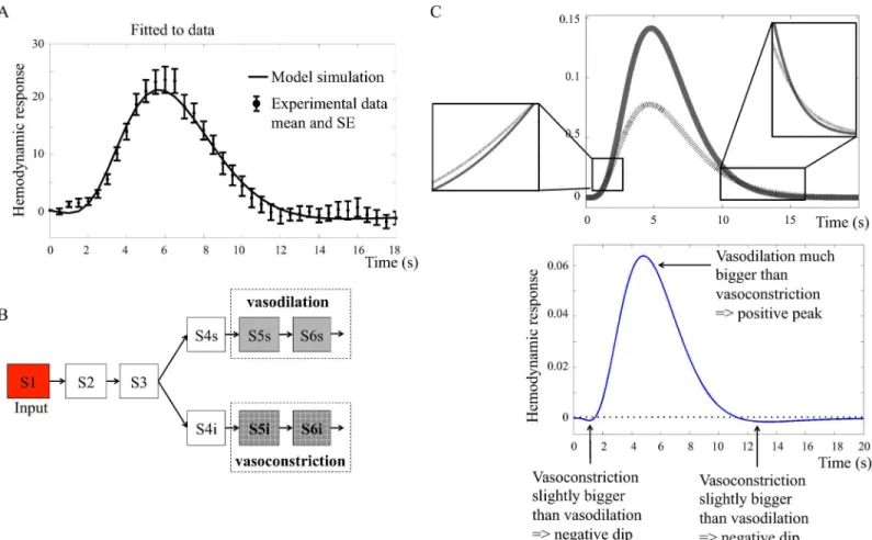 Fig 6. A. Neurotransmitter feed-forward model M n1 ðb p 6 Þ ﬁ tted to data. The ﬁ gure shows mean values and standard error (SE) from primary stimulus in the intensity experiment