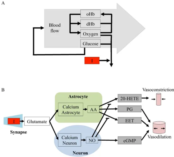 Fig 2. Schematic overviews of the initial model structures evaluated in this paper. I = the stimulus, which is the input to the model