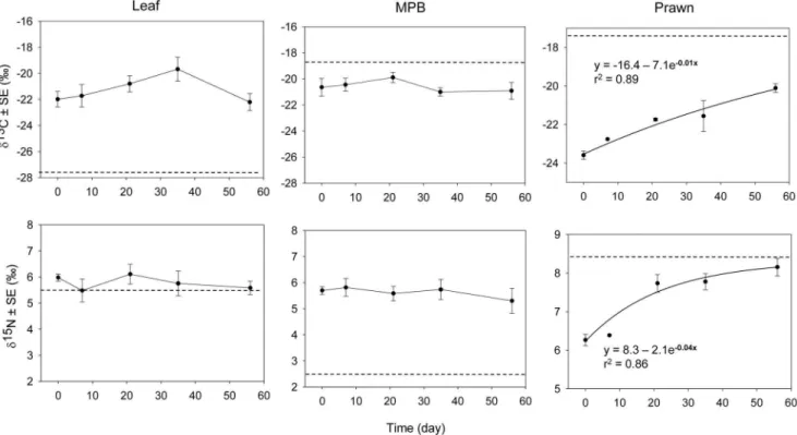 Table 1. Data used in the estimation of relative contributions of mangrove leaf, MPB and animal tissue in the diet of P.