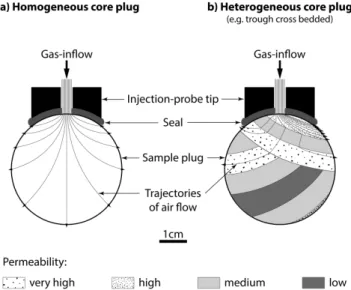 Fig. 2. Gas-flow trajectories for (a) homogeneous samples and (b) for heterogeneous samples (e.g