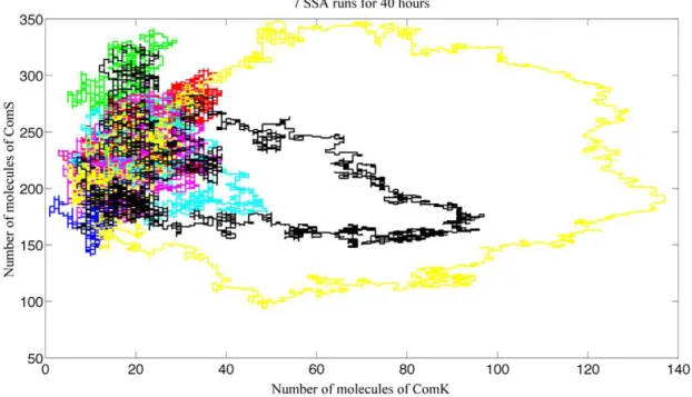 Figure 4. Single SSA run for 40 hours. This figure shows a single SSA run. The high level of ComK (shown in blue), as well as the negative correlations between ComK and ComS (shown in red) is a characteristic of competence.