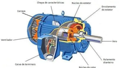 Figura 2.5 - Estrutura de um motor síncrono de ímanes permanentes de fluxo radial                                                         