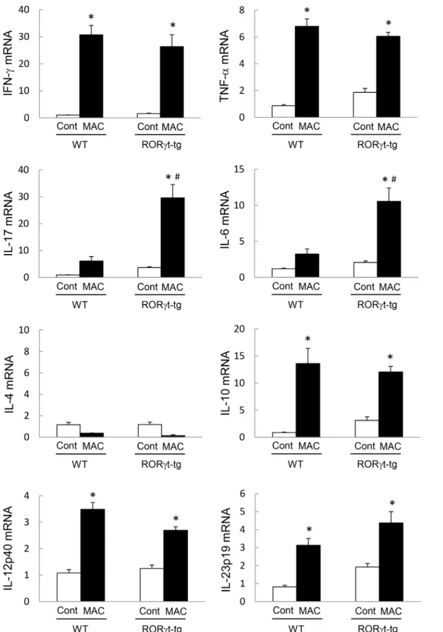 Fig 3. Pulmonary cytokine expression in WT and RORγt-tg mice after MAC Infection. The expression of IFN-γ, TNF-α, IL-4, IL-6, IL-10, IL-12p40, IL-17, and IL-23p19 in the lungs of WT and RORγt-tg mice 2 months after the intratracheal inoculation of 1 x 10 7