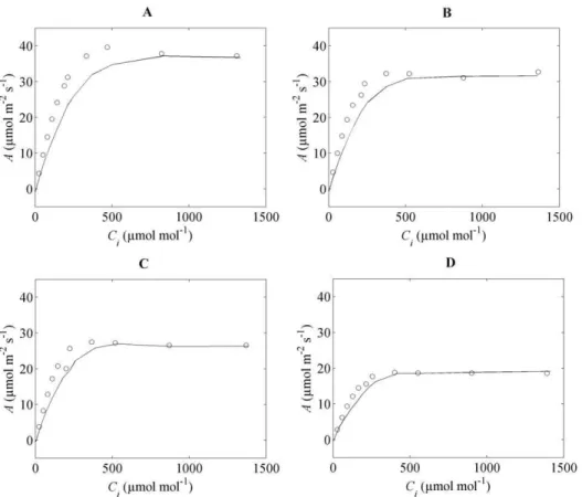 Table 3. Physical parameters of the microscale gas exchange model.