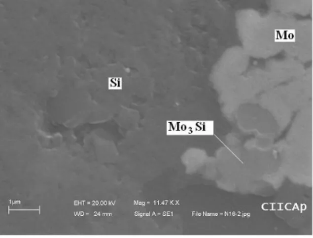 Fig. 6. Electron micrographs  of ceramics obtained from 50 wt.% SiC + 50 wt.% (Si + Mo)  mixture