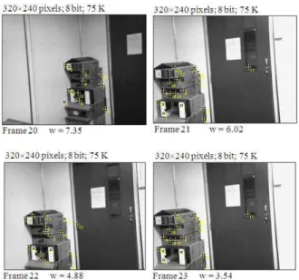Fig. 3: Sequence of frames and weights  