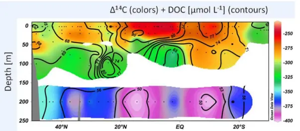 Fig. 4. Calculated SPE-DOM ∆ 14 C values (colors) and measured water sample DOC concen- concen-trations (contours) in the upper 250 m of the water column in the East Atlantic Ocean