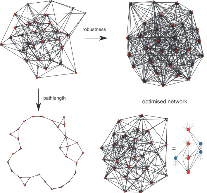 Figure 3. Network optimisation over two evolutionary traits. An initially random network (top left) can be evolved to optimise either robustness (top right), i.e