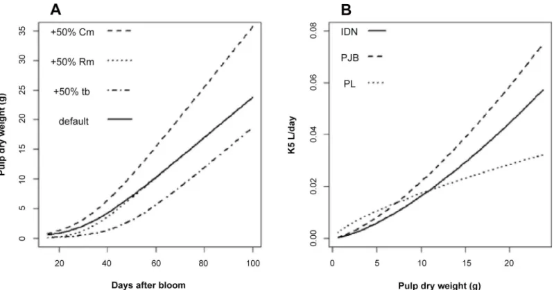 Fig 8. Changes in pulp dry weight in response to (A) growth parameters and (B) K 5,g (t) for the three cultivars