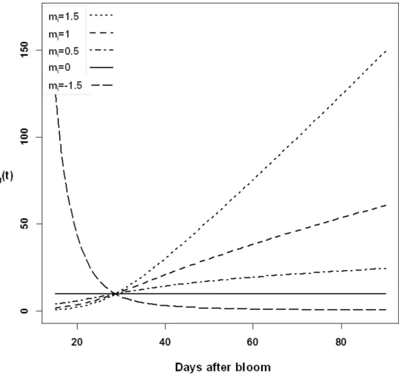 Fig 2. Hypothetical changes in the rate constant k i,g (t) during fruit growth as a function of parameter m i 