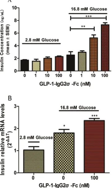 Fig 2. Insulin synthesis and secretion in INS-1 cells. (A) INS-1 cells were plated in 96-well plates with glucose-free RPMI 1640 for 120 min before media supplemented with the indicated concentrations of glucose and GLP-1-IgG2σ-Fc were added for 2 h