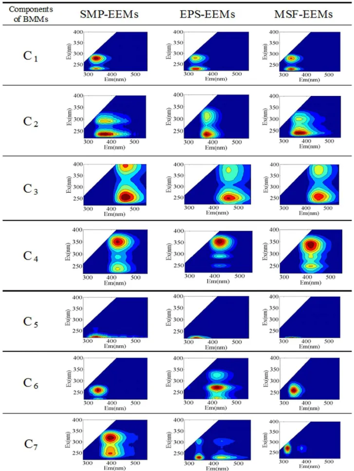 Figure 3. Contour plots of the seven components identified from the SMP-EEMs, EPS-EEMs and MSF-EEMs dataset.