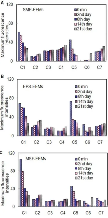 Figure S1 The configuration of the bench-scale MBR.