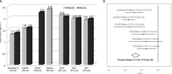 Figure 5. Association plots for skull-BMD. SNP association plot for the skull BMD-associated region in chromosome 7q31.31, based on 13,712 individuals from the five different cohorts with GWAS information.