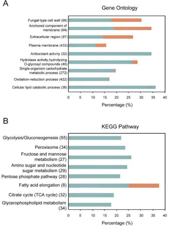 Figure 3. Analysis of Gene Ontology and KEGG pathway. Only the significantly enriched GO categories (A) or KEGG items (B) (p-value # 0.05) in differentially expressed genes were shown
