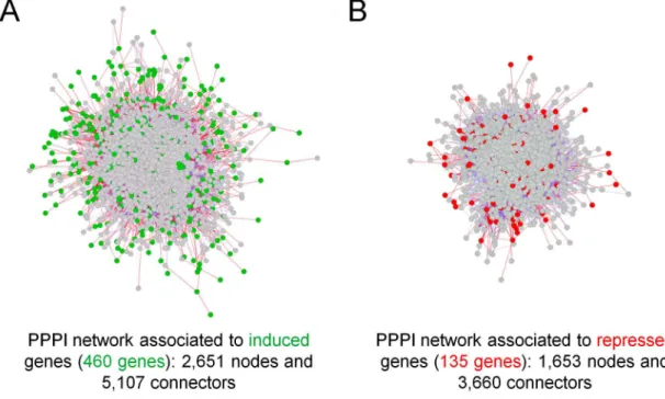Figure 4. PPPI networks generated from the induced genes (A) and the repressed genes (B)