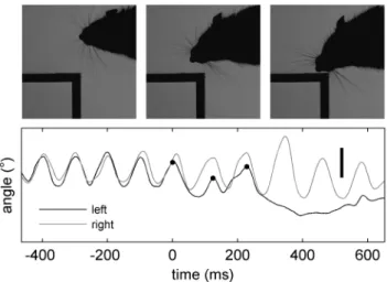 Figure 2. Model. Solid arrows indicate causal influences. Multiple influences affect the attended spatial region