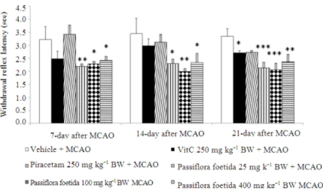 Fig. 3: Effect  of  P.foetida  extract  on  response  rate  of  foot withdrawal reflex in respond to temperature  stimuli of rats subjected to right Middle Cerebral  Artery  Occlusion  (MCAO)